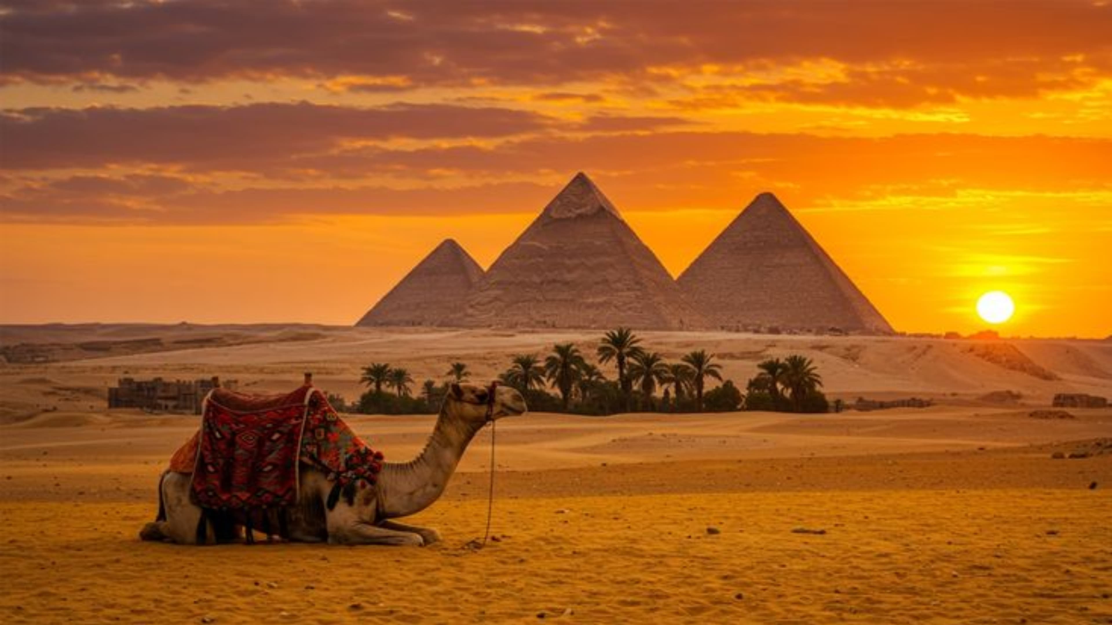 Pirámides de Giza con camello al atardecer, Egipto