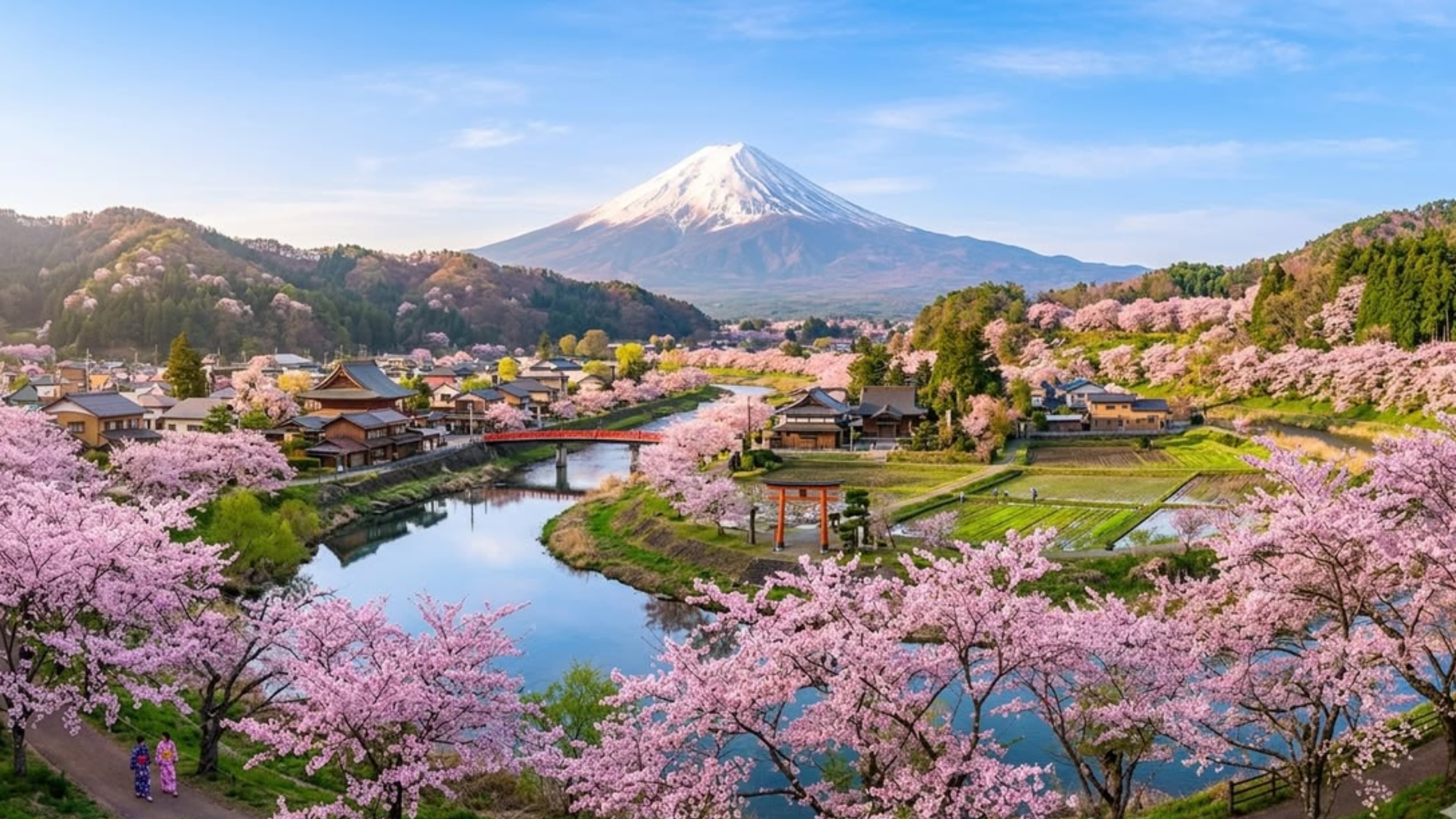 Monte Fuji con sakura en flor, Japón